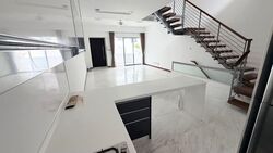 Radiance @ Bukit Timah (D21), Terrace #569715941